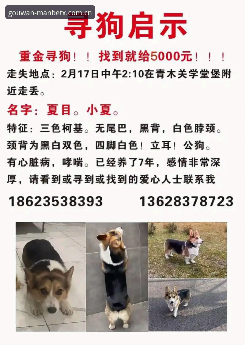 5个实用方法助你找到狗万manbetx最新官网入口，老用户亲测有效