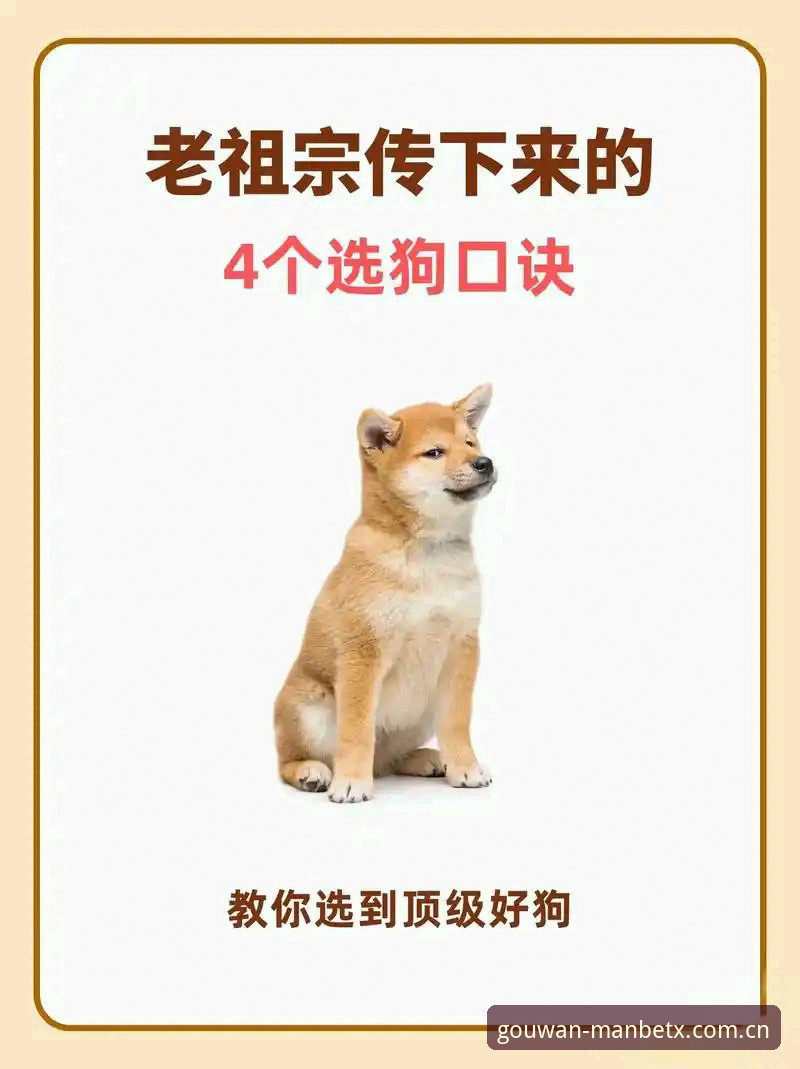 5个实用方法助你找到狗万manbetx最新官网入口，老用户亲测有效